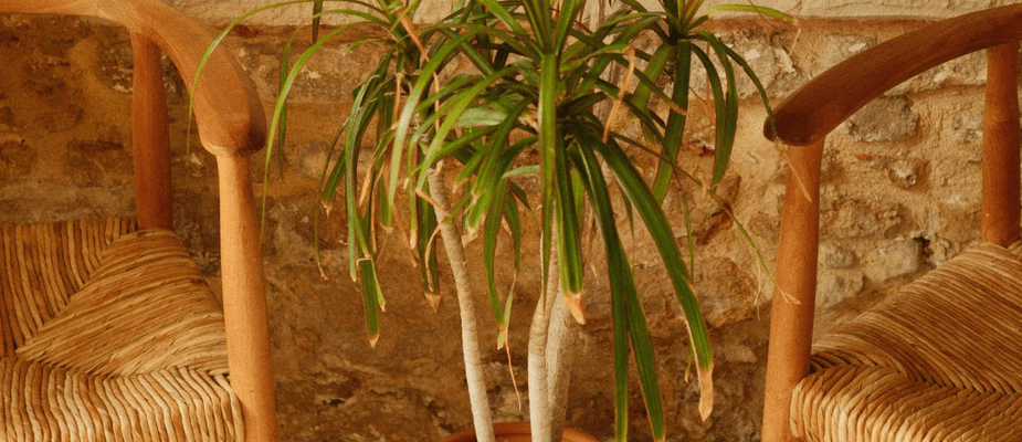 Cadeira com braço ou sem braço? O que é mais confortável para sua mesa